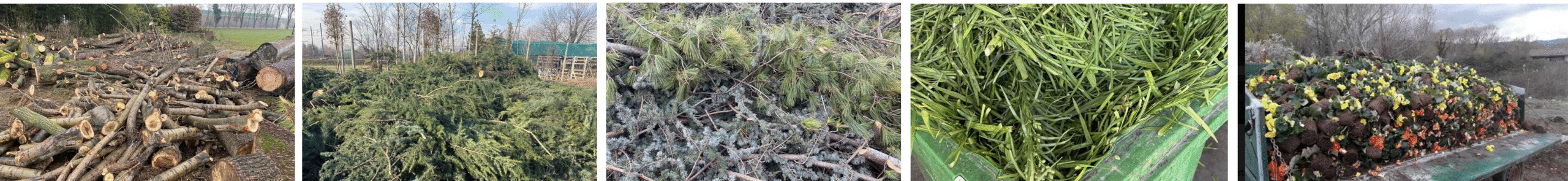 Screenshot 2025-09-22 alle 23.19.13